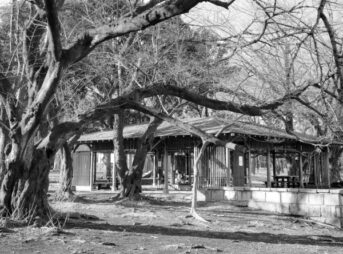 砧公園の東屋-全体